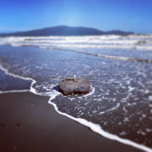 Load image into Gallery viewer, DZLA Gift Card