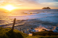 Load image into Gallery viewer, DZLA Gift Card