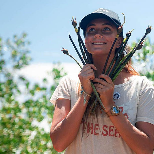 We can come together & act now to restore costal ecosystems