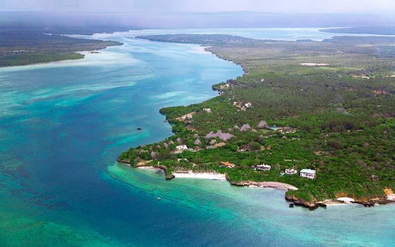 Voice of Mida Creek SeaTrees forest restoration project