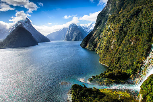 Important benefits from the 'Our Planet' collection