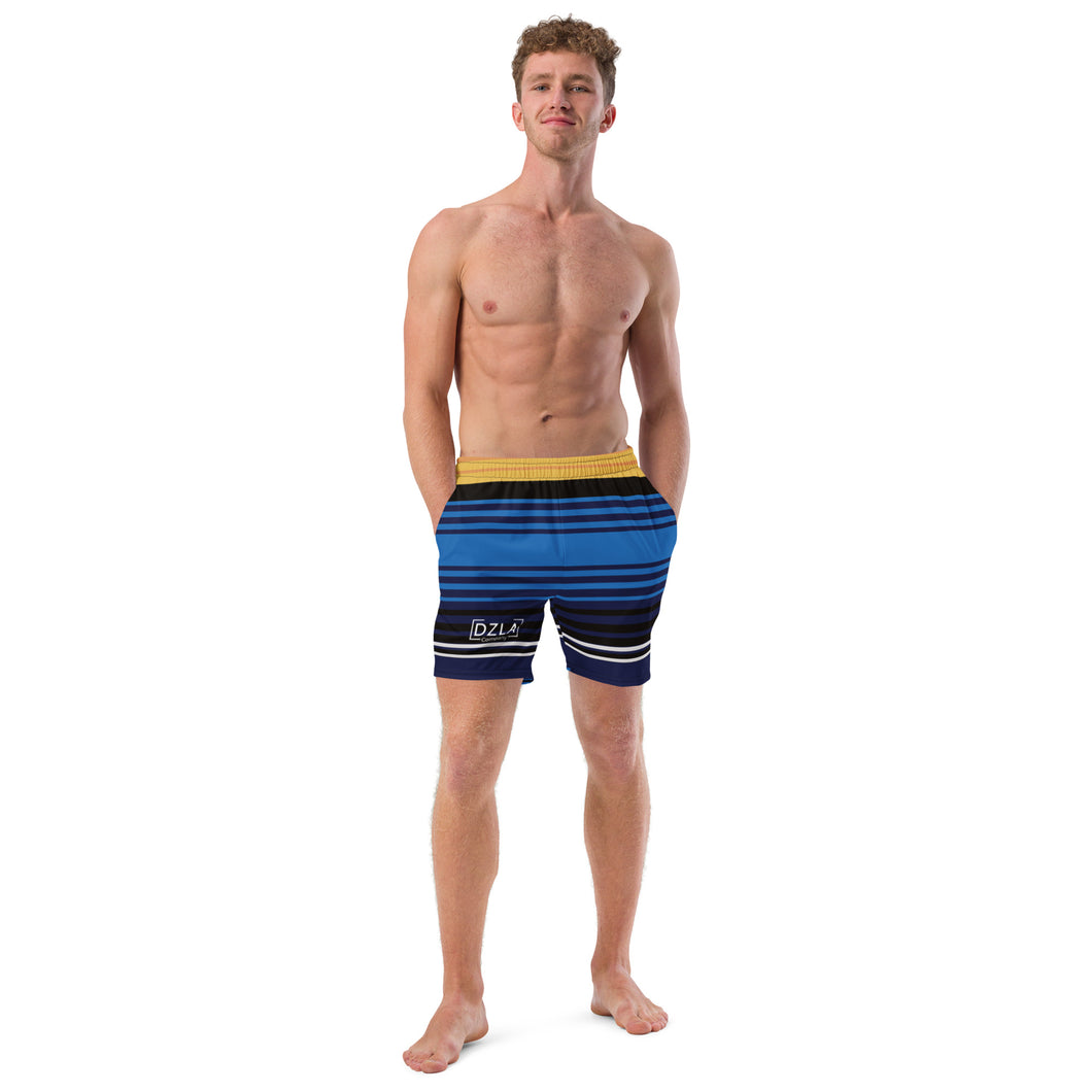 DZLA 'Stripes' Men's recycled board shorts